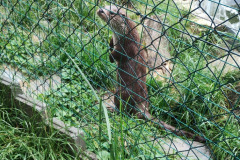 IMG_20240624_111514904_HDR