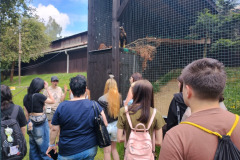 IMG_20240624_111752787_HDR