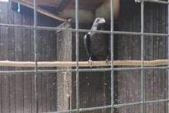 IMG_20240624_112203197_HDR