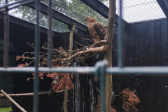 IMG_20240624_112235801_HDR