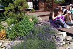 IMG-20260622-WA0002