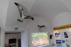IMG-20260622-WA0005
