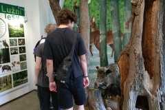 IMG-20260622-WA0006