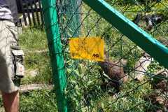 IMG-20260622-WA0016