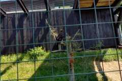 IMG-20260622-WA0017