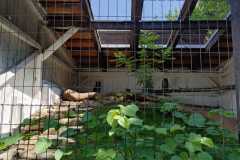 IMG-20260622-WA0021