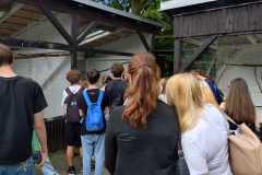 IMG-20260622-WA0025