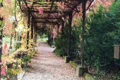 faunapark-13