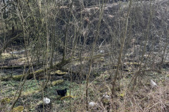 thumbnail_image_picker_F34D28A7-0F40-4E28-91EB-E55A5C5AE711-83949-00001F056FCDF176