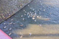 IMG_20231218_130658377_HDR