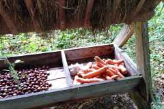 IMG-20251007-WA0017