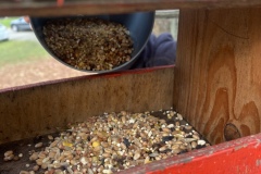 1C1FBEE6-8B43-4490-9E95-2B984385849A