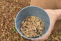 46050D7F-F490-45B7-A852-58D4346D3F2A