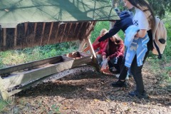 IMG_20231002_140457210_HDR