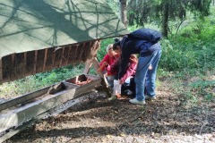 IMG_20231002_140504247