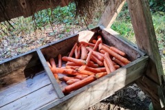 IMG_20231002_140556216_HDR