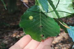 IMG_20231002_141055990_HDR