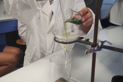 IMG_20240603_081953026_HDR