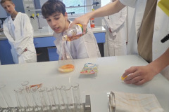 IMG_20240603_082304831_HDR