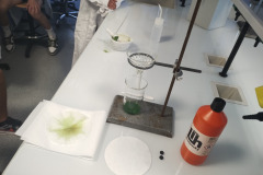 IMG_20240603_082725557