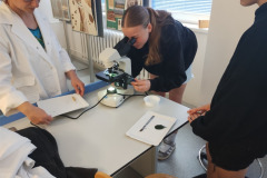 IMG_20240603_091837556