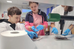 IMG_20240603_092014445_HDR