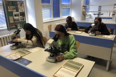 1B0BC37A-AF1C-4DD6-ABFF-2BF13F978C68