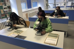 3E7AD2A2-1961-42EB-94D2-EB974D4249ED