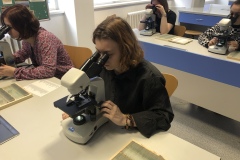 55149D23-05BC-4223-BFC7-057C15E57623