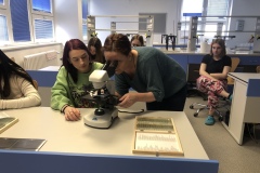 8C9FA19F-267F-4D21-9B10-5A13FEA7B515