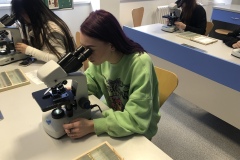 B59B3DAF-74F8-45DC-BFE7-30F8928C7D87