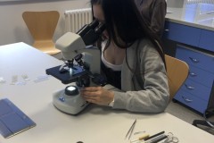 thumbnail_D0560401-6DCC-4E1E-B365-A8A7FD4D16C8