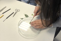 thumbnail_DD67FB90-EC8F-4F3B-BE2E-E632147A67C2