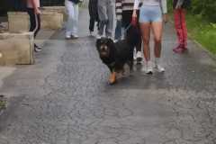 IMG-20240524-WA0023