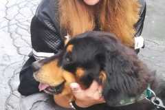 IMG-20240524-WA0028