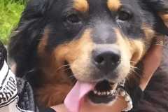IMG-20240524-WA0030