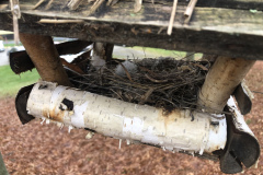 167A7CCF-BA1A-4D83-865A-6FE39269BD17