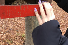 7FCFBAE9-9E84-4F41-A850-72E7BE5D0545