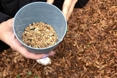 829105D1-1D0E-405F-A369-DBADED1DFB3D