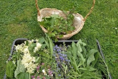 348371060_6498658746843962_600049249688375226_n-fcb-upr