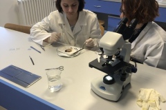 1DF8E2ED-A78A-4A53-9554-6E50AACDBA2E