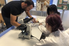 59A2613D-D024-4D58-9786-B4010F4F7C60