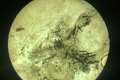 7967B429-7A05-415A-9AD5-079E10E7B548