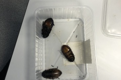 7ABDFE57-8F6A-4EC0-B8A8-2455DCC91729