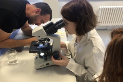 81C32CDE-B39C-42D0-88B0-24AD6E589564