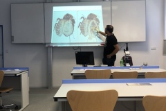 8A10D394-9B0E-48FB-A3FF-8691DE5B5BB8