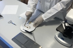 A700DAB9-EF7A-422E-A348-3E3D3C69E055