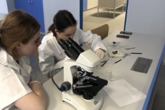 C34369E7-5614-407E-914A-E7C73931CD7E