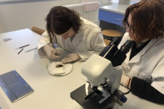 CA17EFF9-69A8-416C-B932-2BEBA3FD3046