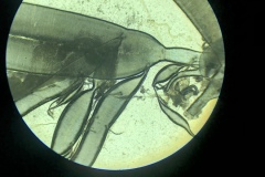 DC082E8C-0CC6-4EAC-AB2B-1636E894F94A